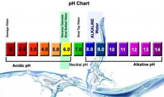 碱性的水的ph值是多少 什么水是碱性水